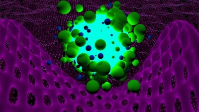 Biopolymer
