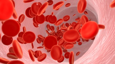 Blood cells