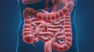 Teaserbild: Postbiotika: Wie die Darmgesundheit gefördert werden kann