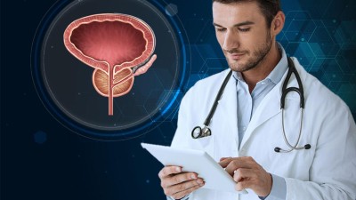 Arzt mit Tablet, Darstellung Prostata