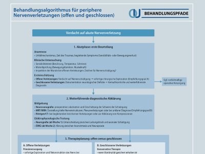 Behandlungsalgorithmus Periphere Nervenverletzungen