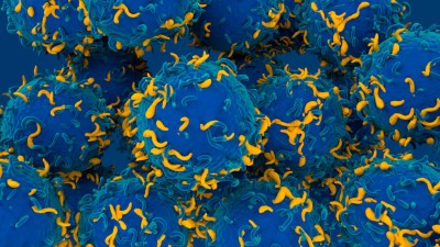 3D illustration of CAR T cells