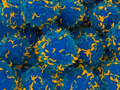 3D illustration of CAR T cells