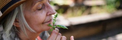 Eine ältere Frau riecht an einem Basilikumblatt