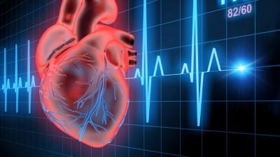 Herz / EKG 