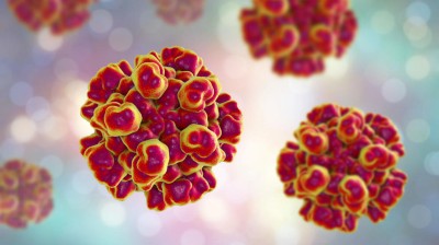 3D illustration of hepatitis E viruses