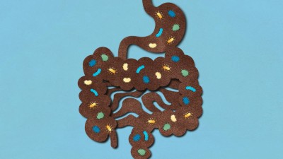 Conceptual illustration of gut microbiome