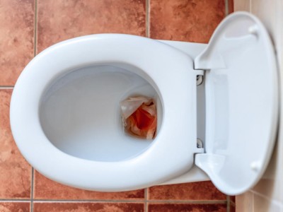 Blut in Toilette