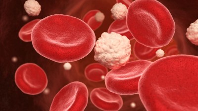 3D illustration of red blood cells and glucose in the vein