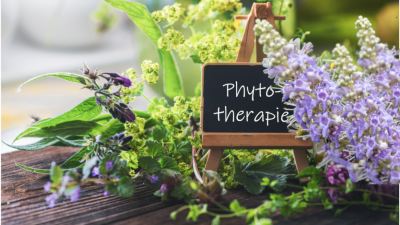 Schild mit Phytotherapie neben Blumen