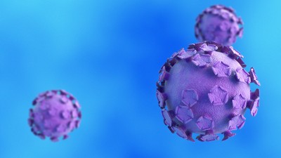 HPV-Viren