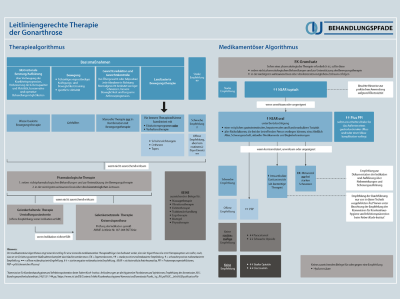 Leitliniengerechte Therapie der Gonarthrose