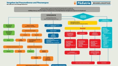 Behandlungspfad: Vorgehen bei Pneumothorax und Pleuraerguss