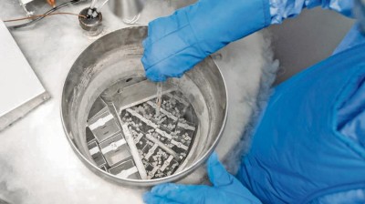 Social egg freezing