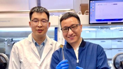 Zwei Männer zeigen einen Perowskit-Solarzellen-Prototyp