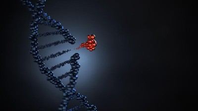 This image is a 3D illustration of a black DNA helix with a red nucleotide