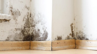 Schimmelbefall an der Wand