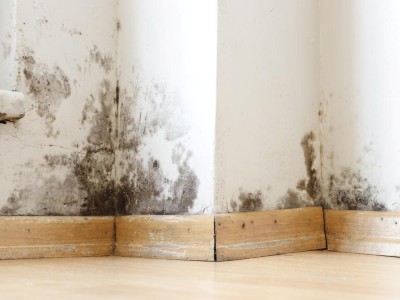 Schimmelbefall an der Wand