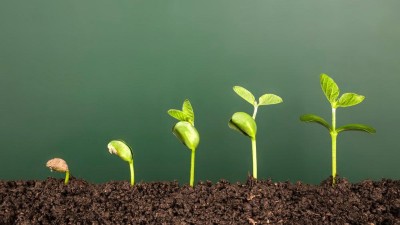Leitthema: Transition