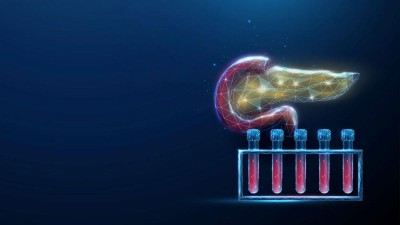 Image is an abstract illustration of a human pancreas and a rack of test tubes filled with blood depicting the concept of health screening 