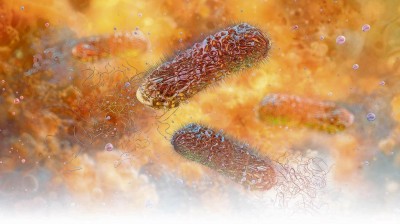 Mikrobiom 