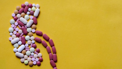 Image is a photograph of pills of different sizes, shapes, and colors placed in the shape of a human kidney