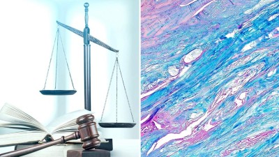 Leitthema: Recht und Begutachtung - Titelbild