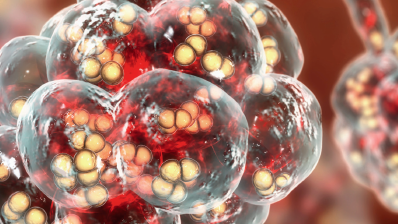 Pneumokokken