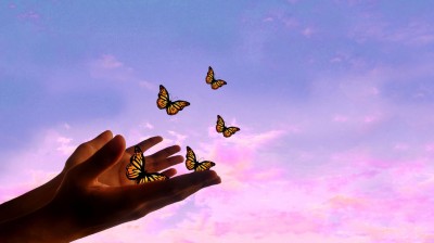 Schmetterlinge fliegen aus geöffneten Händen