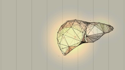 Image is an abstract low poly wireframe illustration of the liver