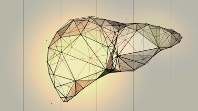 Low-Poly-Wireframe-Illustration der Leber