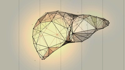 Low-Poly-Wireframe-Illustration der Leber