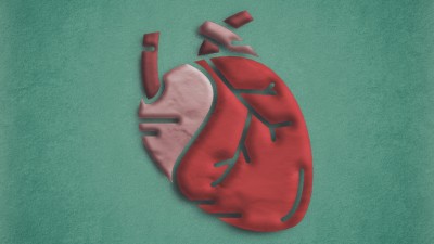 Anatomical heart made of felt textile in red background