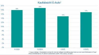 Kaufabsicht E-Auto