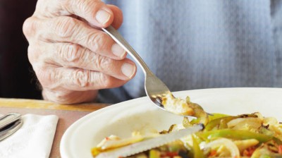 Close-up of person holding a fork over a plate of food