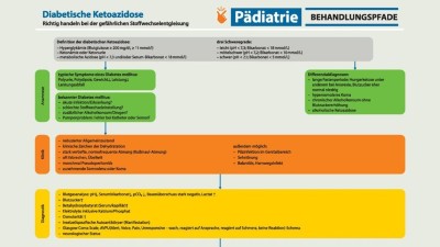 Behandlungspfad: Diabetische Ketoazidose - Richtig handeln bei der gefährlichen Stoffwechselentgleisung