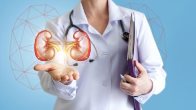 Ärztin mit Nierenhologramm