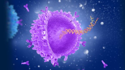 T-cell expressing chimeric antigen receptor (CAR) in the cell membrane; DNA is exposed from the T-cell to highlight the genetic engineering involved in creating CAR T-cells