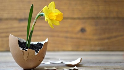 Leitthema: Frailty und "intrinsic capacity"