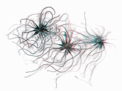 Pflanze im Rampenlicht