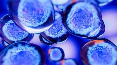 Leitthema: Zelluläre Therapien