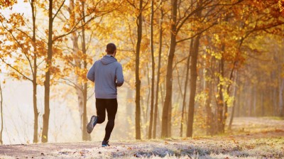 Mann läuft am Morgen im Wald