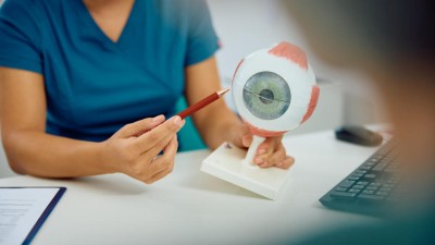Ophthalmologist pointing to a model of eye anatomy