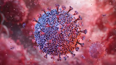 Epstein Barr Virus