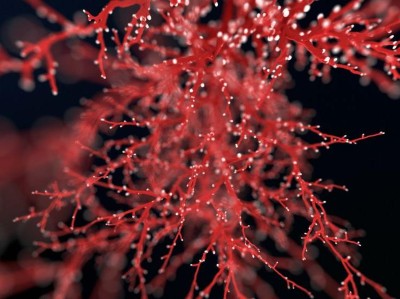 Abstract blood vessels