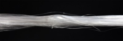 Mikroskopaufnahme eines Spinnenseide-Fadens.