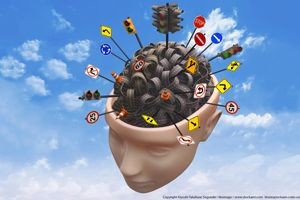 Wie in einem Straßennetz können in einem neuronalen Netzwerk bis zu 90 Prozent aller Verbindungen unterbrochen werden – und trotzdem kann die essentielle Netzwerkfunktion sichergestellt werden, solange die kritischen Verbindungen intakt bleiben