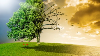 Der Klimawandel Erhitzt Die Versicherungsbranche Springerprofessional De