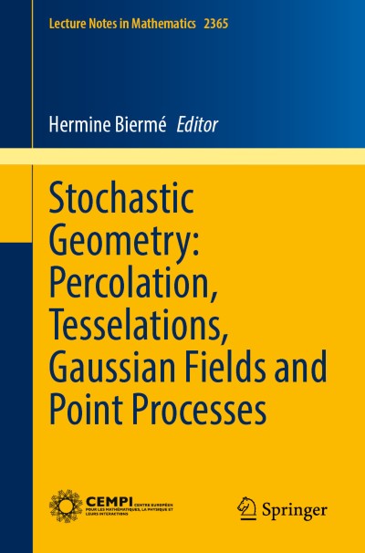 Random Tessellations: An Overview of Models | springerprofessional.de
