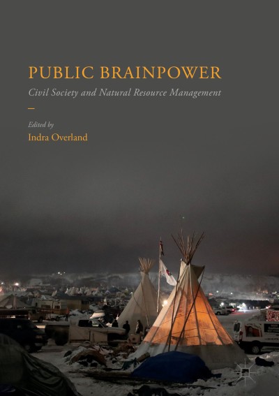 Link to Book Public Brainpower